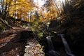 Source Vistula. Crystalline stream, clean water