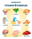 Source of vitamin B complex with labeled healthy food nutrient example list Royalty Free Stock Photo