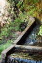 Source water channel in a levada Royalty Free Stock Photo