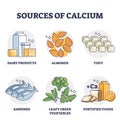 Sources of calcium and natural rich Ca level food products outline diagram