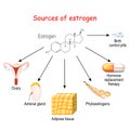 Sources of estrogen in women