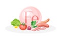 Sources of Fe mineral. Broccoli, egg, tomato, egg, radish healthy nutrition food. Mineral vitamin supplement vector