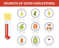 Sources of good cholesterol