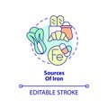 Sources of iron concept icon Royalty Free Stock Photo