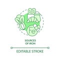 Sources of iron green concept icon Royalty Free Stock Photo