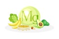 Sources of Mg mineral. Banana, nut, avocado, peas healthy nutrition food. Mineral vitamin supplement vector illustration