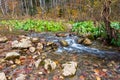 the beginning of the spring period, mountainous terrain and a stream in , sunny autumn day, nature walks.