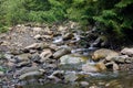 Sources of the mountain river Running on stones in the forest