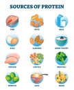 Sources of protein as healthy and high nutrient diet products collection Royalty Free Stock Photo
