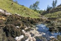 The sources of the Saine from Jura, France Royalty Free Stock Photo