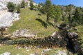 The sources of the Saine from Jura, France Royalty Free Stock Photo