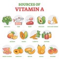 Sources of vitamin A as healthy nutrition food examples in outline diagram Royalty Free Stock Photo