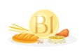 Sources of vitamin B1. Bread, mushroom, nut, chicken healthy nutrition food. Mineral vitamin supplement vector