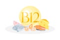 Sources of vitamin B12. Salmon fish, shrimp, cheese, meat healthy nutrition food. Mineral vitamin supplement vector