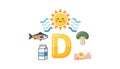 Sources of Vitamin D Royalty Free Stock Photo