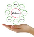 Sources of wellness