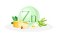 Sources of Zinc mineral. Cheese, bean, egg, hazelnut healthy nutrition food. Mineral vitamin supplement vector