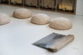 Sourdough bread buns dough rising on flour dusted kitchen counter