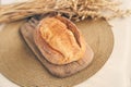 Sourdough bread close-up. Freshly baked round bread with a golden crust on a wooden board. Rustic wheat bread with space Royalty Free Stock Photo