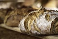 Sourdough bread with crispy crust on wooden shelf. Bakery goods Royalty Free Stock Photo