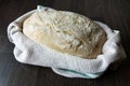 Sourdough bread dough rising in a banneton Royalty Free Stock Photo