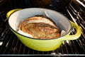 Sourdough bread in dutch oven in a conventional oven Royalty Free Stock Photo