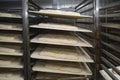 Sourdough bread loaves waiting for the oven