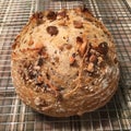 Sourdough bread with nuts Royalty Free Stock Photo