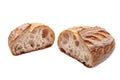 Sourdough freshly baked bread on white background