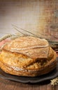 Sourdough homemade round white wheat bread close up