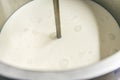 Sourdough milk. The process of making ricotta cheese, mozzarella. Selected Focus Royalty Free Stock Photo