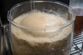 sourdough starter, with bubbles and rising dough, the result of wild yeast fermentation Royalty Free Stock Photo