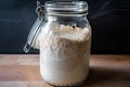 sourdough starter in jar, ready for its next cycle of baking and fermentation Royalty Free Stock Photo