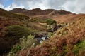 The Sourmilk Gill near Gasmere