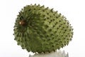 Soursop (Annona muricata)