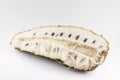 Soursop Annona muricata isolated