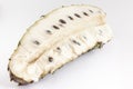 Soursop Annona muricata isolated