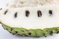 Soursop Annona muricata isolated