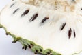 Soursop Annona muricata