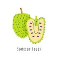 Soursop fruit flat vector illustration