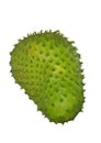 Soursop is the fruit of Annona muricata