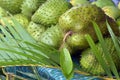 Soursop fruit for slae in the market in Rarotonga Cook Islands