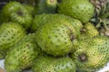 Soursop, Guanabana or Custard Apple or Annona muricata and green coconut on street market in Ubud, island Bali, Indonesia. Closeup