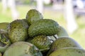 Soursop, Guanabana or Custard Apple or Annona muricata and green coconut on street market in Ubud, island Bali, Indonesia. Closeup