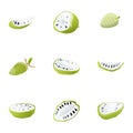 Soursop icon set, cartoon style