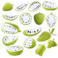 Soursop icons set, cartoon style