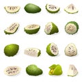 Soursop icons set cartoon vector. Annona muricata