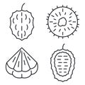 Soursop icons set, outline style