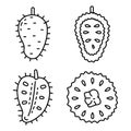 Soursop icons set, outline style