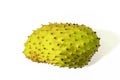 Soursop Isolated On White Background Royalty Free Stock Photo